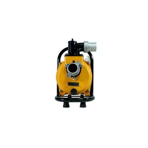 DC Yüzey Pompa 1.5Hp 1100W (SFP20-17-1100W/96V)